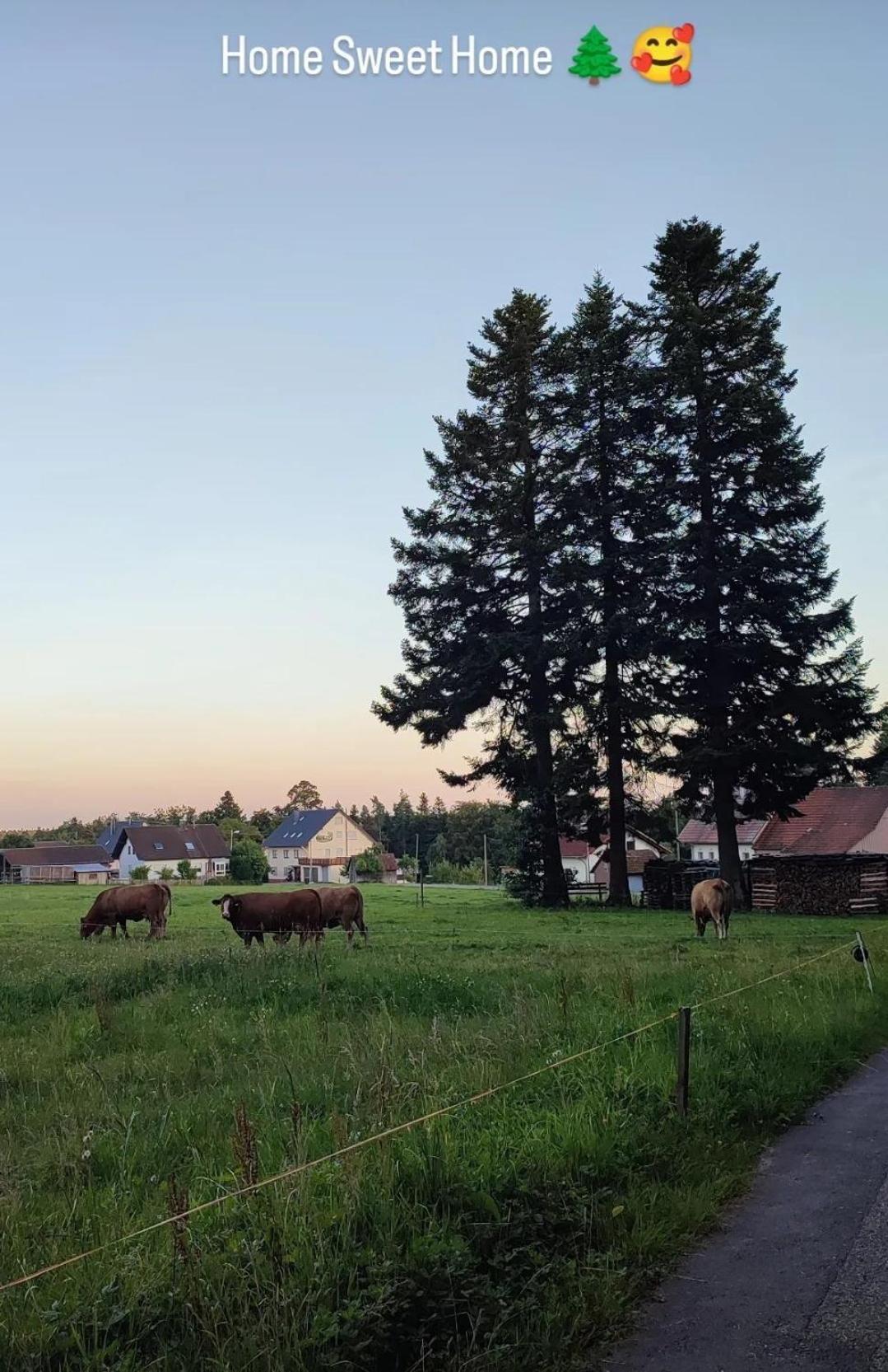 Chickenhill Blackforest, Grosse Ferienwohnung Im Schwarzwald Bad Wildbad Exterior photo