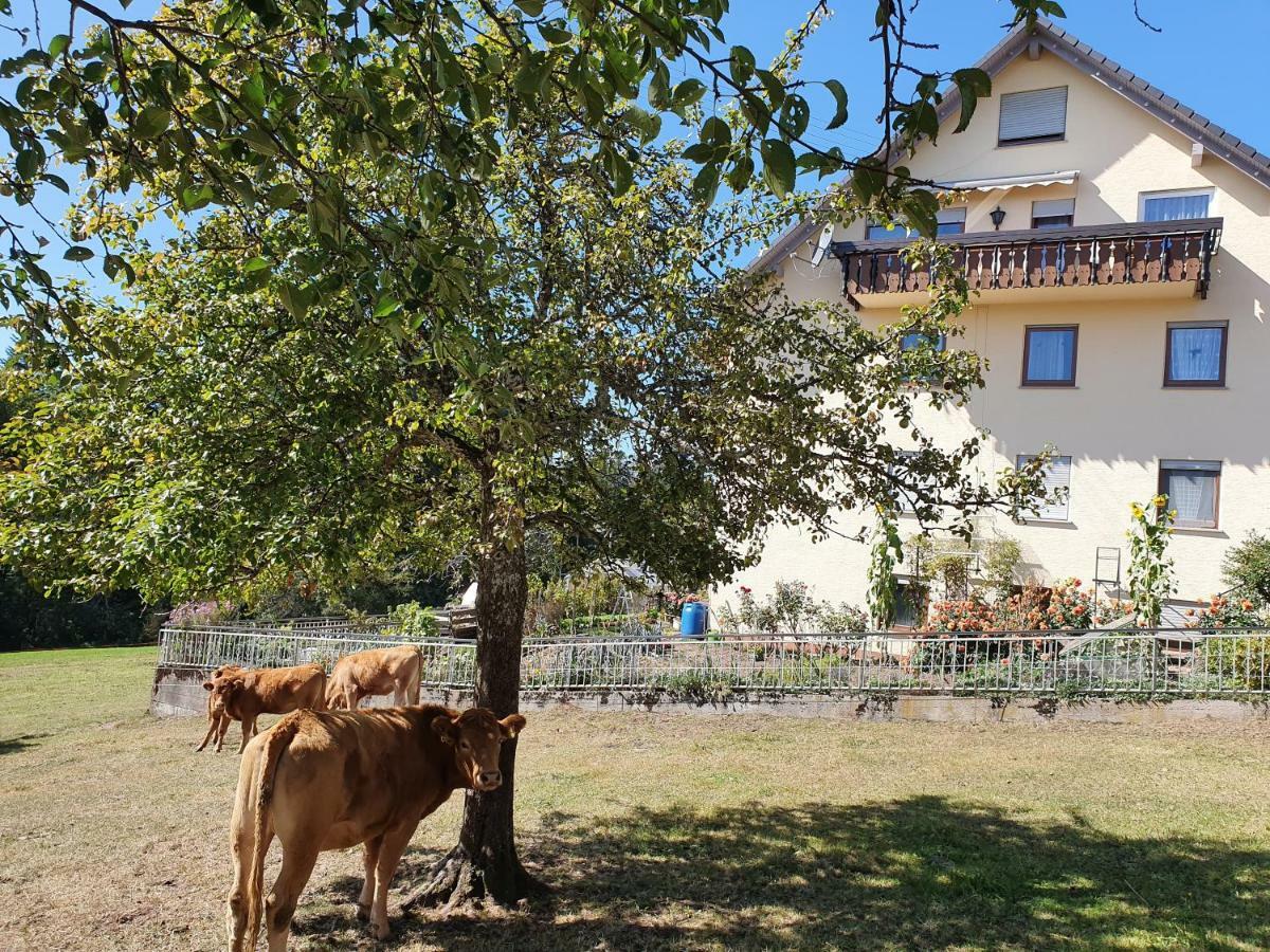 Chickenhill Blackforest, Grosse Ferienwohnung Im Schwarzwald Bad Wildbad Exterior photo